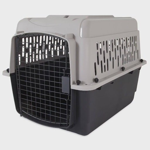 Vibrant Life Dog Crate Replacement Tray For Sale (Feb 2023 Update) Almost Home Rescue