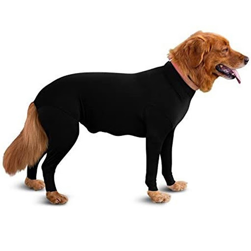 Dog Rash Under Armpits Treatment For Sale (Jan 2023 Update) Almost
