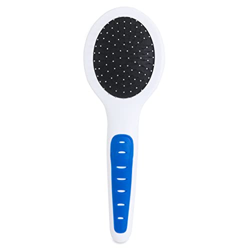 10 Best Brush For Terrier Coats (2024 Update) Almost Home Rescue