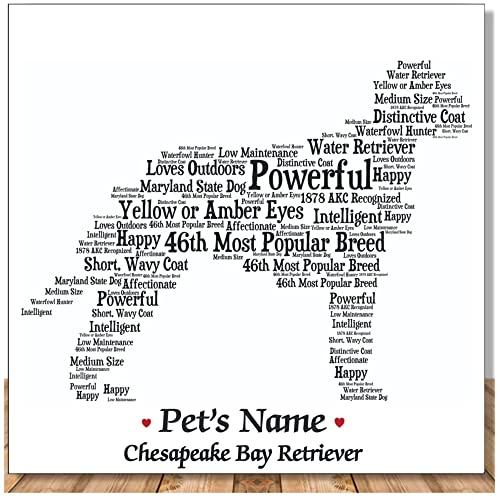 10 Best Brush For Chesapeake Bay Retriever (2024 Update) Almost Home
