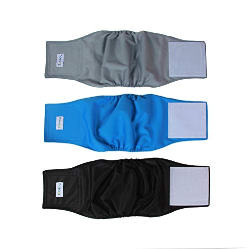 10 Best Diapers For Male Dachshunds (2024 Update) Almost Home Rescue