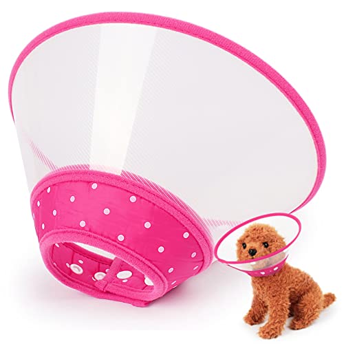 Best Dog Cone For Eye Surgery (2024 Update) Almost Home Rescue