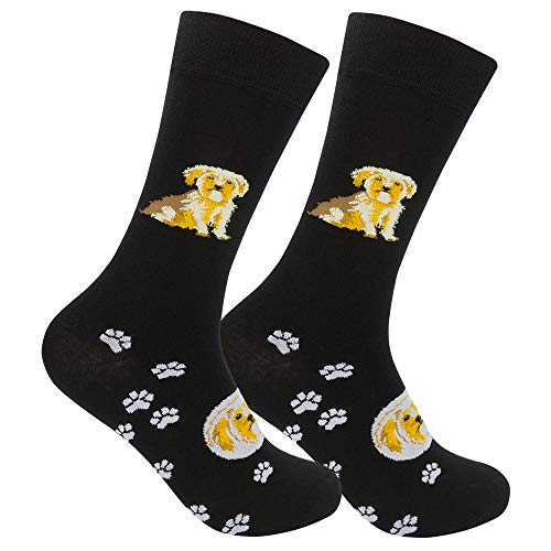 10 Best Muzzle For Yorkshire Terrier (2024 Update) Almost Home Rescue