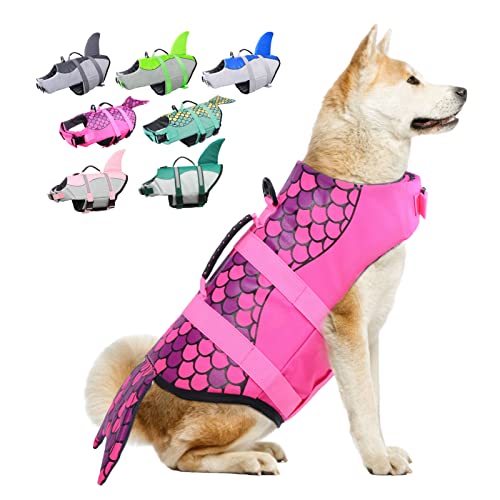 Best Small Dog Life Vest (2024 Update) Almost Home Rescue