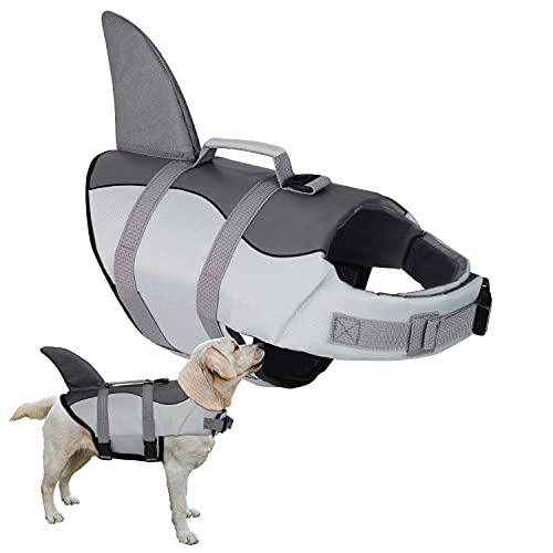Best Dog Harness For Swimming (2024 Update) Almost Home Rescue