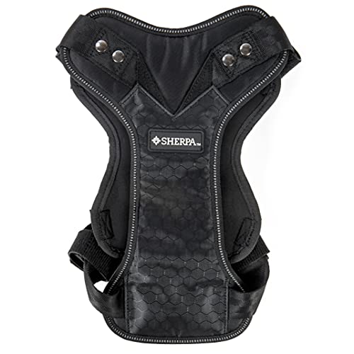 Best Dog Seat Belt Crash Tested (2024 Update) Almost Home Rescue