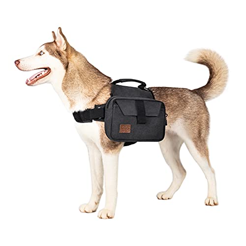 Best Dog Saddle Bags (2024 Update) Almost Home Rescue