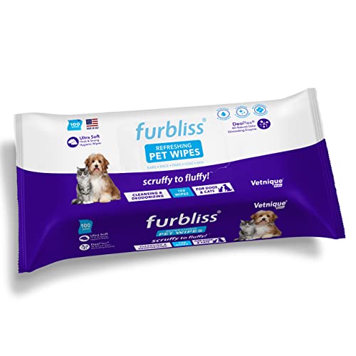 10 Best Cat Bath Wipes (2024 Update) Almost Home Rescue