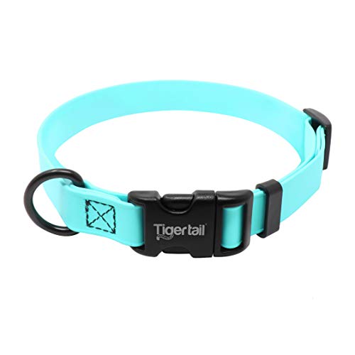 Best Dog Collar To Prevent Matting (2024 Update) Almost Home Rescue