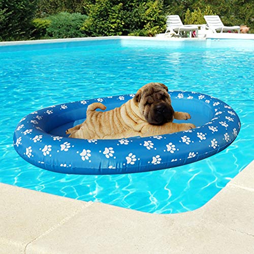 Best Dog Pool Floats (2024 Update) Almost Home Rescue