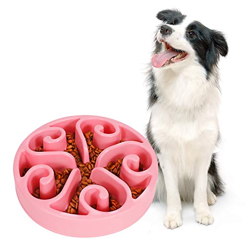 10 Best Slow Feeder For Golden Retriever (2024 Update) Almost Home Rescue