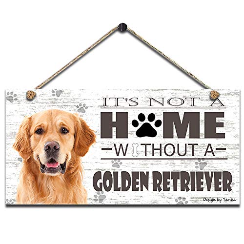 10 Best Fence For Golden Retriever (2024 Update) Almost Home Rescue