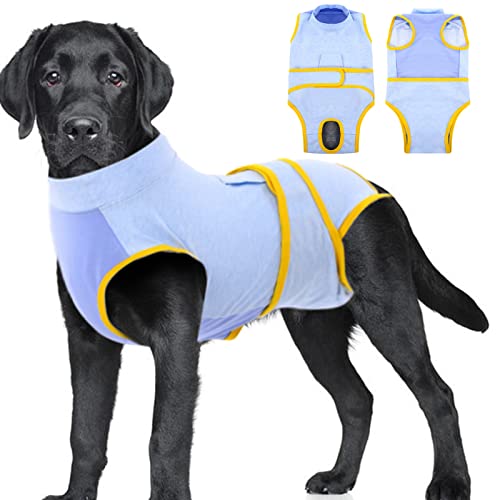 Best Dog Recovery Suit After Neutering (2023 Update) Almost Home Rescue