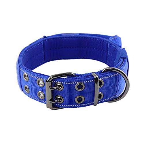 Best Heavy Duty Dog Collar (2023 Update) Almost Home Rescue