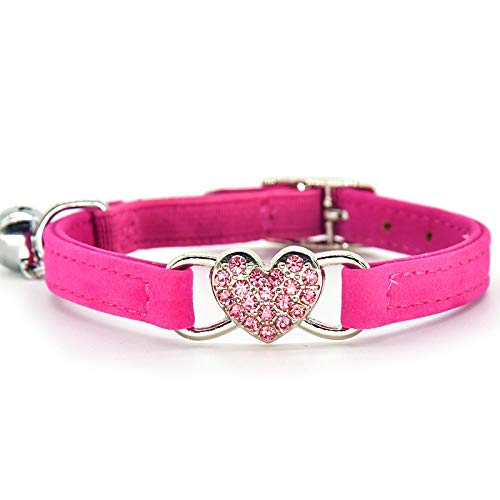 10 Best Cat Collars For Safety (2024 Update) Almost Home Rescue