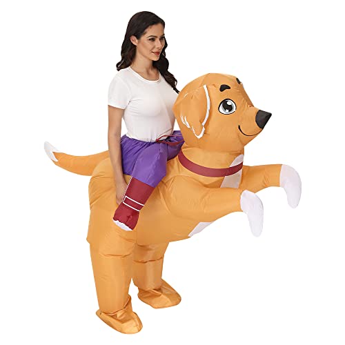 10 Best Costume For Golden Retriever (2023 Update) Almost Home Rescue