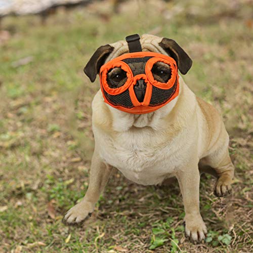 10 Best Muzzle For Olde English Bulldog (2024 Update) Almost Home Rescue