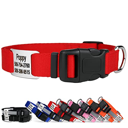 Best Geofence Dog Collar (2023 Update) Almost Home Rescue