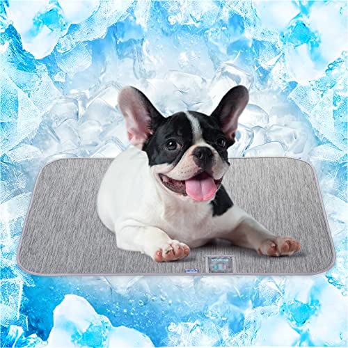 10 Best Cooling Mat For French Bulldog (Feb 2023 Update) Almost Home