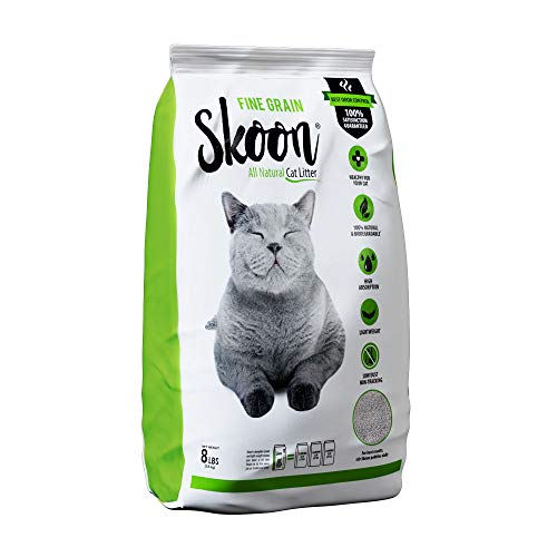 10 Best Eco Friendly Cat Litter (2024 Update) Almost Home Rescue