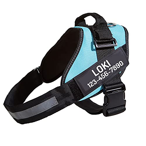 Best Dog Harness To Prevent Pulling (2024 Update) Almost Home Rescue