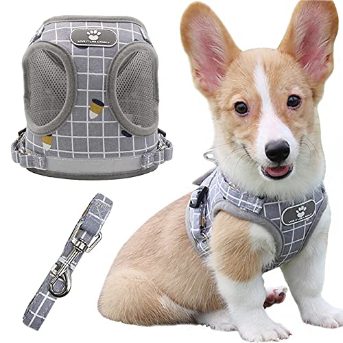 10 Best Harness For Welsh (2024 Update) Almost Home Rescue