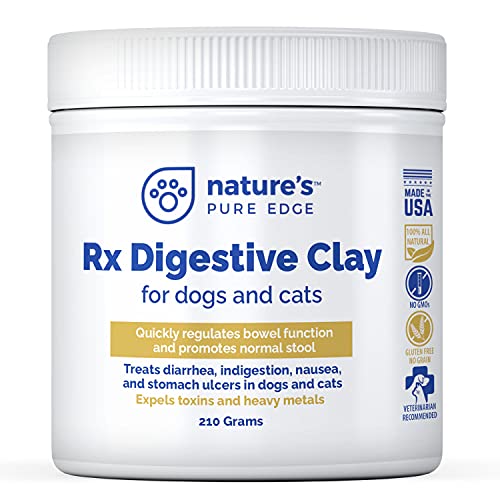 Best Dog Diarrhea Medicine (2024 Update) Almost Home Rescue
