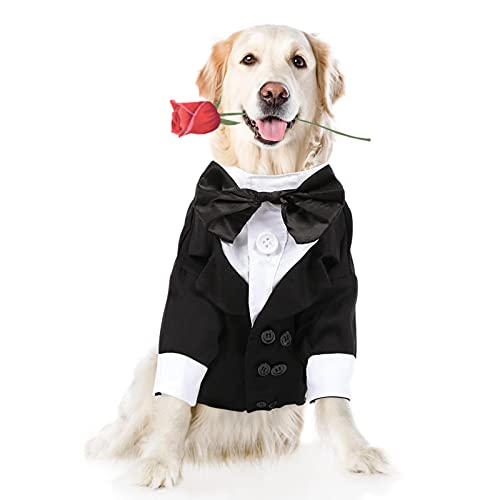 10 Best Halloween Costume For Golden Retriever (2024 Update) Almost