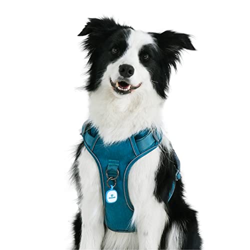 10 Best Harness For Golden Retriever That Pulls (2024 Update) Almost