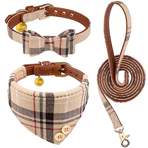10 Best Collars And Leads For Miniature Dachshunds (2023 Update