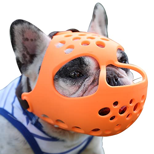10 Best Muzzle For Boston Terrier (2023 Update) Almost Home Rescue