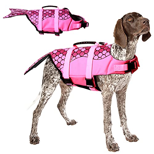 Best Small Dog Life Vest (2024 Update) Almost Home Rescue