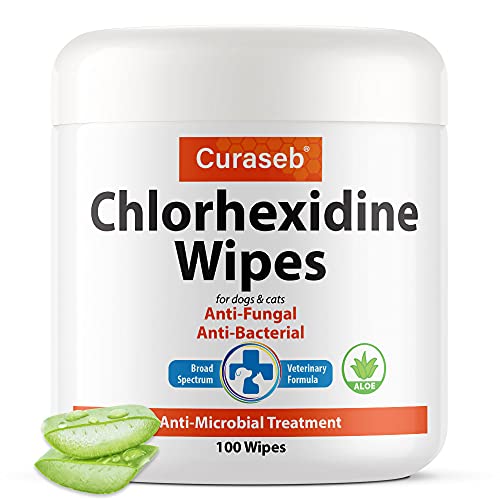 Best Treatment For Dog Dermatitis (2024 Update) Almost Home Rescue