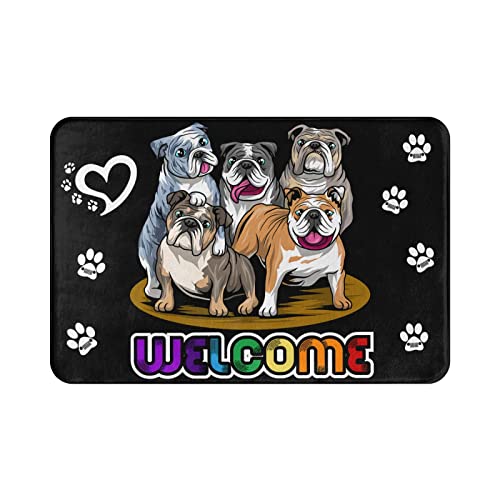 10 Best Old English Bulldog Breeders (2023 Update) Almost Home Rescue