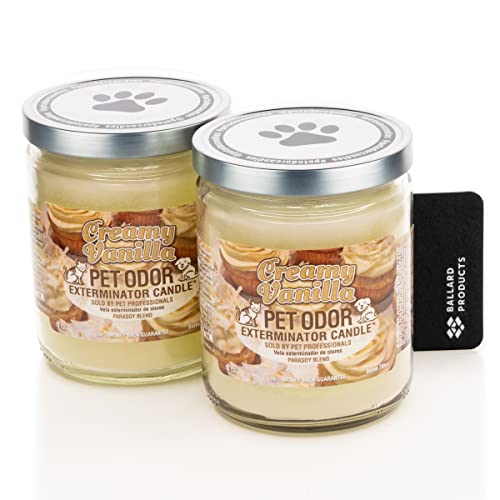 Best Candles For Dog Smell (2024 Update) Almost Home Rescue