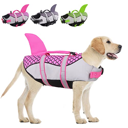 10 Best Life Jacket For Boston Terrier (2024 Update) Almost Home Rescue