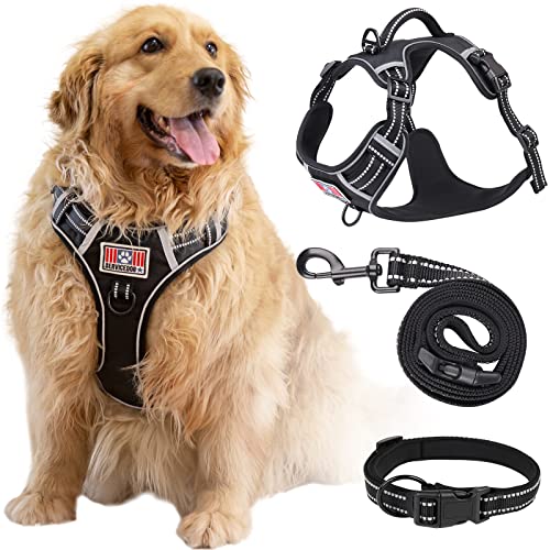 Best Dog Harness For Big Dogs (2024 Update) Almost Home Rescue