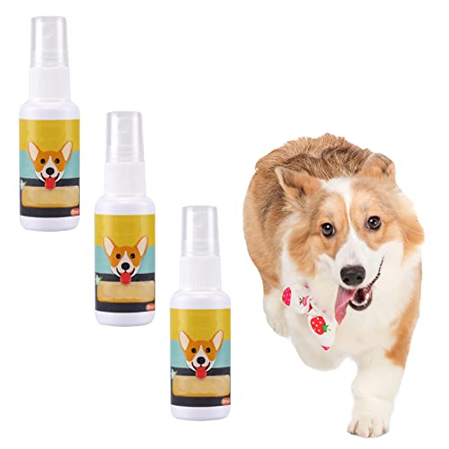 Best DogToiletTrainingSpray (2024 Update) Almost Home Rescue