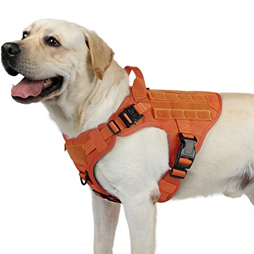 Best Dog Vests For Hunting (2024 Update) Almost Home Rescue