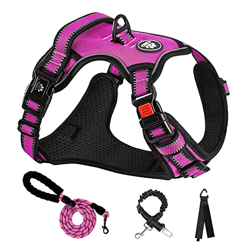 10 Best Walking Harness For Standard Poodle (2023 Update) Almost Home