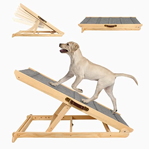 Best Dog Ramps For Older Dogs (2024 Update) Almost Home Rescue