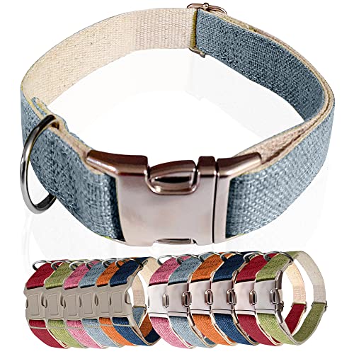 Best Dog Collar For Sensitive Neck (2024 Update) Almost Home Rescue