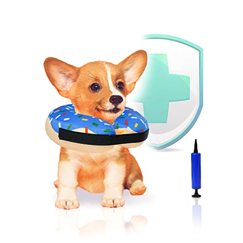 10 Best Neck Cone For Dachshunds (2023 Update) Almost Home Rescue