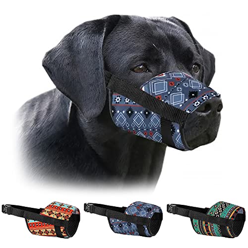10 Best Muzzle For Standard Poodle (2024 Update) Almost Home Rescue