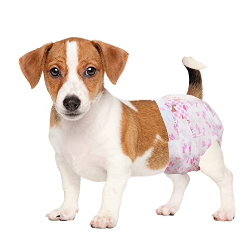 10 Best Diapers For Dachshunds (2024 Update) Almost Home Rescue