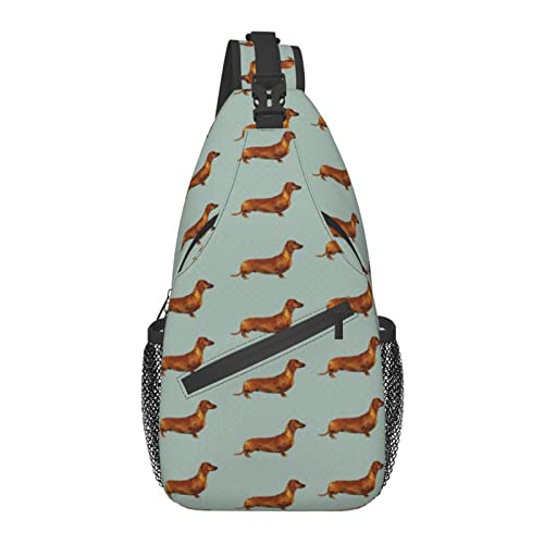 10 Best Sling For Dachshunds (2024 Update) Almost Home Rescue