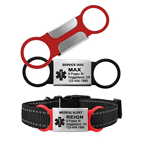 Best Dog Tags That Don'T Wear Off (2023 Update) Almost Home Rescue