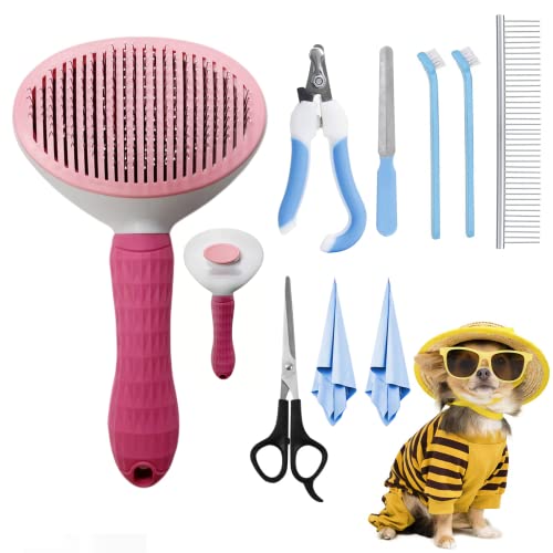 10 Best Shedding Tool For Jack Russel Terrier (2023 Update) Almost