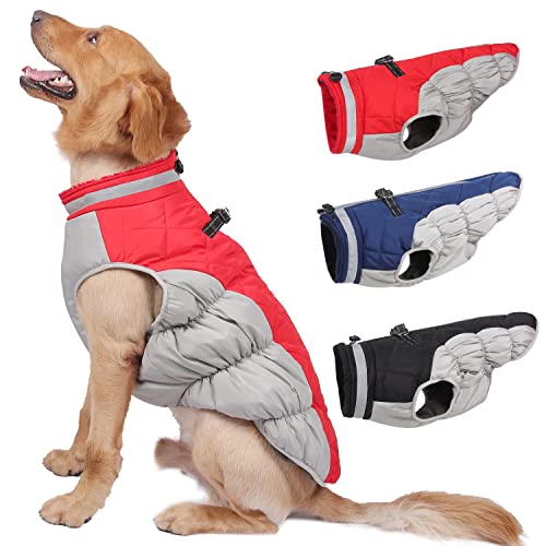 Best Dog Coat For Small Dogs (Feb 2023 Update) Almost Home Rescue