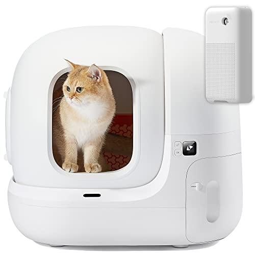 10 Best Self Cleaning Cat Litter Boxes (2024 Update) Almost Home Rescue